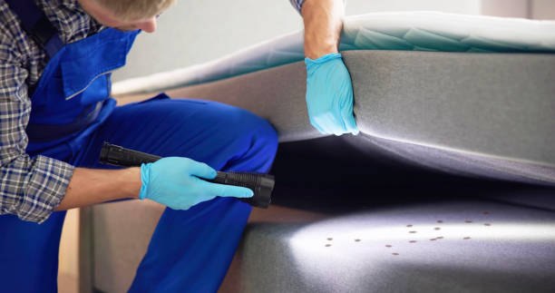 Best Pest Control Near Me  in West Point, MS