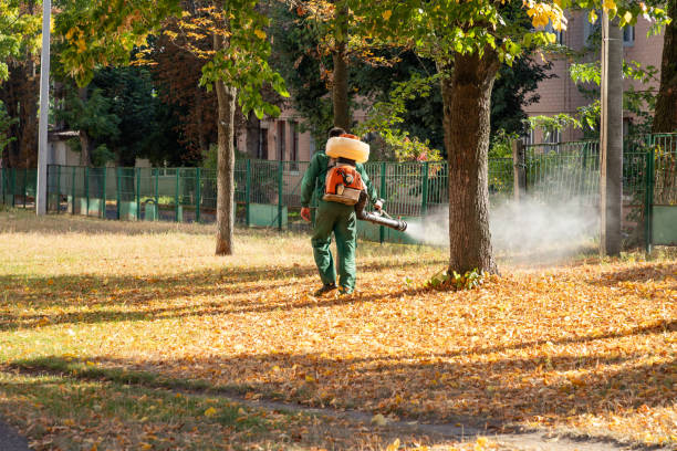 Professional Pest Control in West Point, MS