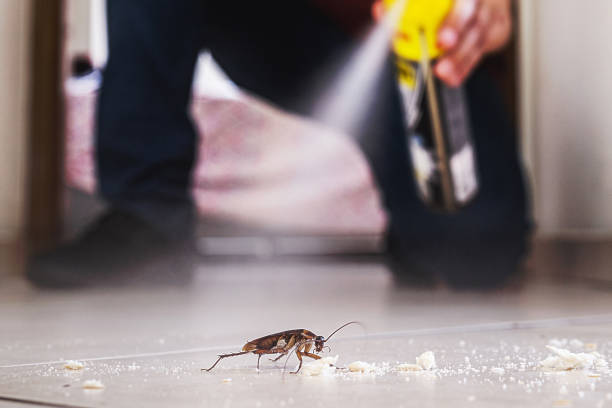 Best Pest Removal Services  in West Point, MS