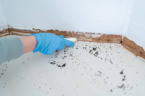 Best Wildlife Control Services  in West Point, MS