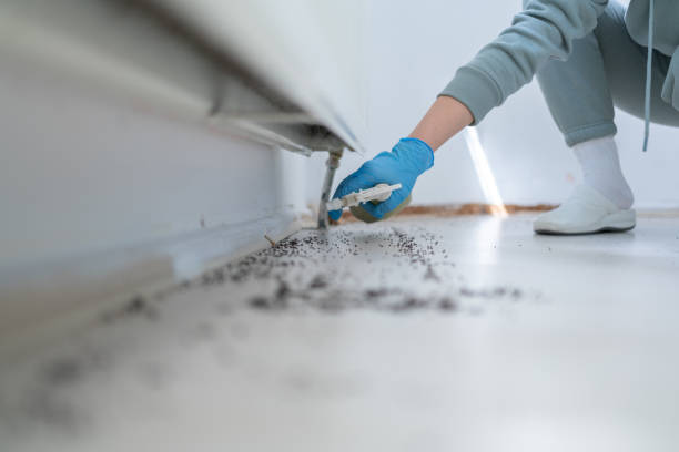 Best Commercial Pest Control Services  in West Point, MS