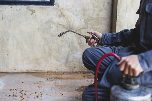 Pest Control Cost in West Point, MS
